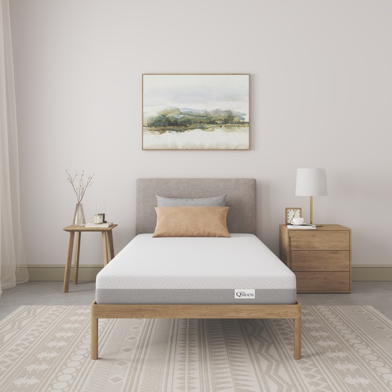Twin Memory Foam Mattress 6 Inch Medium Firm Mattress in a Box